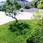 Apartments Tiho & Marija - garden