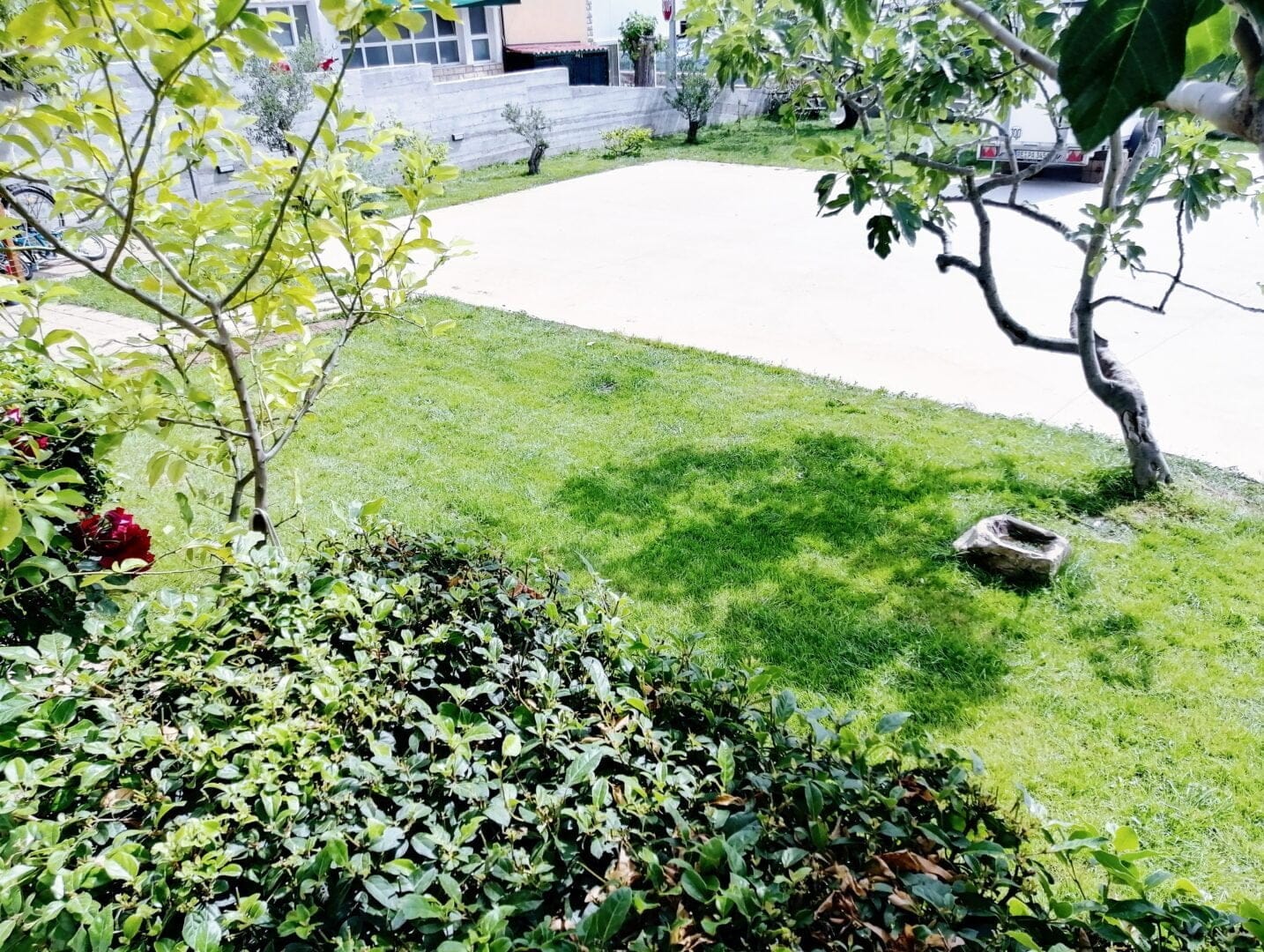 Apartments Tiho & Marija - garden