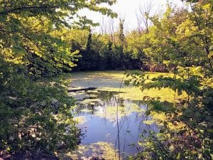 Nacionalni park Krka